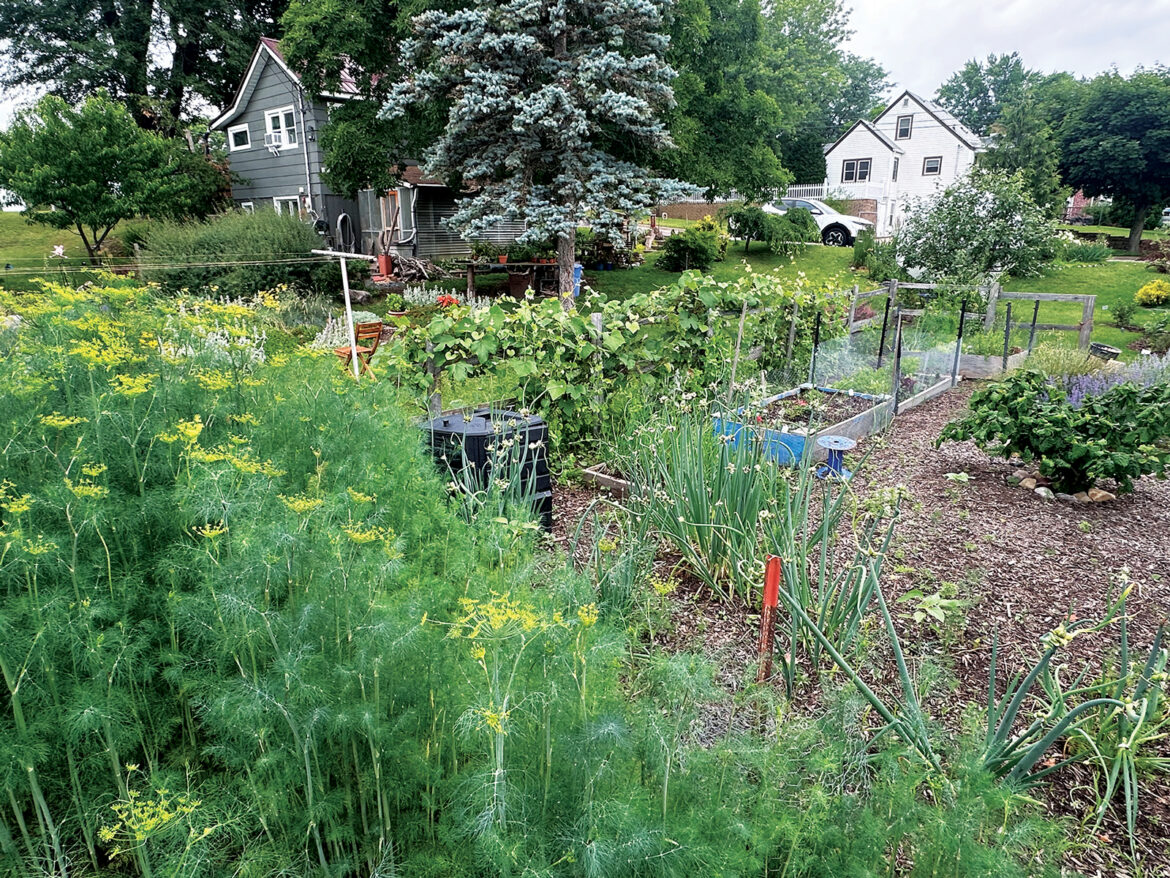 Easy Gardening for Seniors – Mother Earth News Easy Gardening for Seniors – Mother Earth News