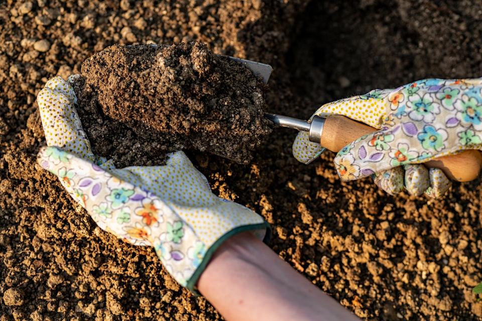 Gardener planting flowers in her flowerbed. Gardening concept. Soil digging. Hand close up.