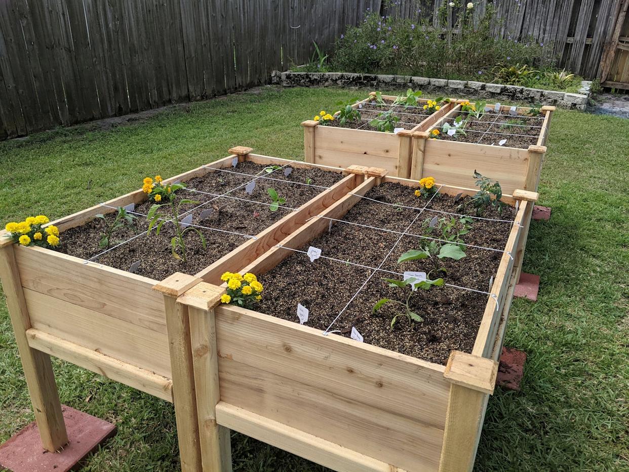 container garden with variety of vegetables