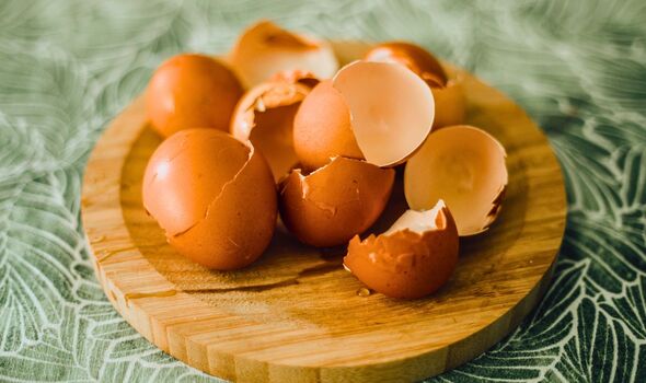 Picture of raw eggshells in a kitchen
