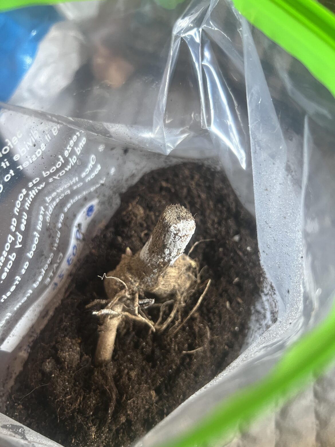 help!!! is this mould? i’m scared 🥲