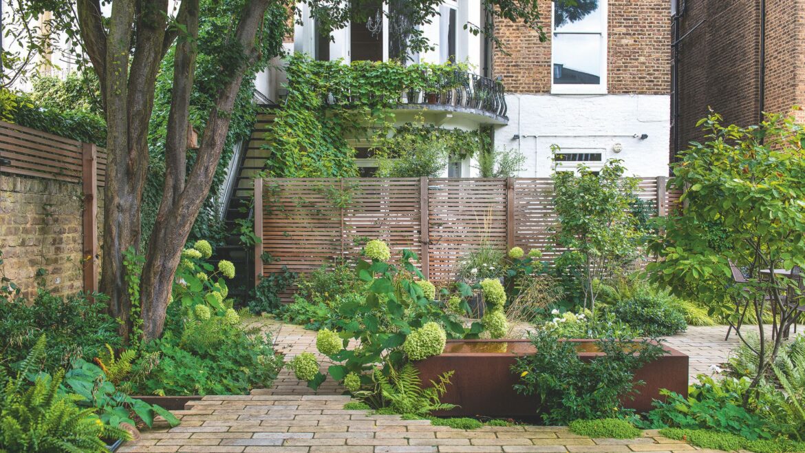 7 no-effort shrubs that thrive on neglect and add colour