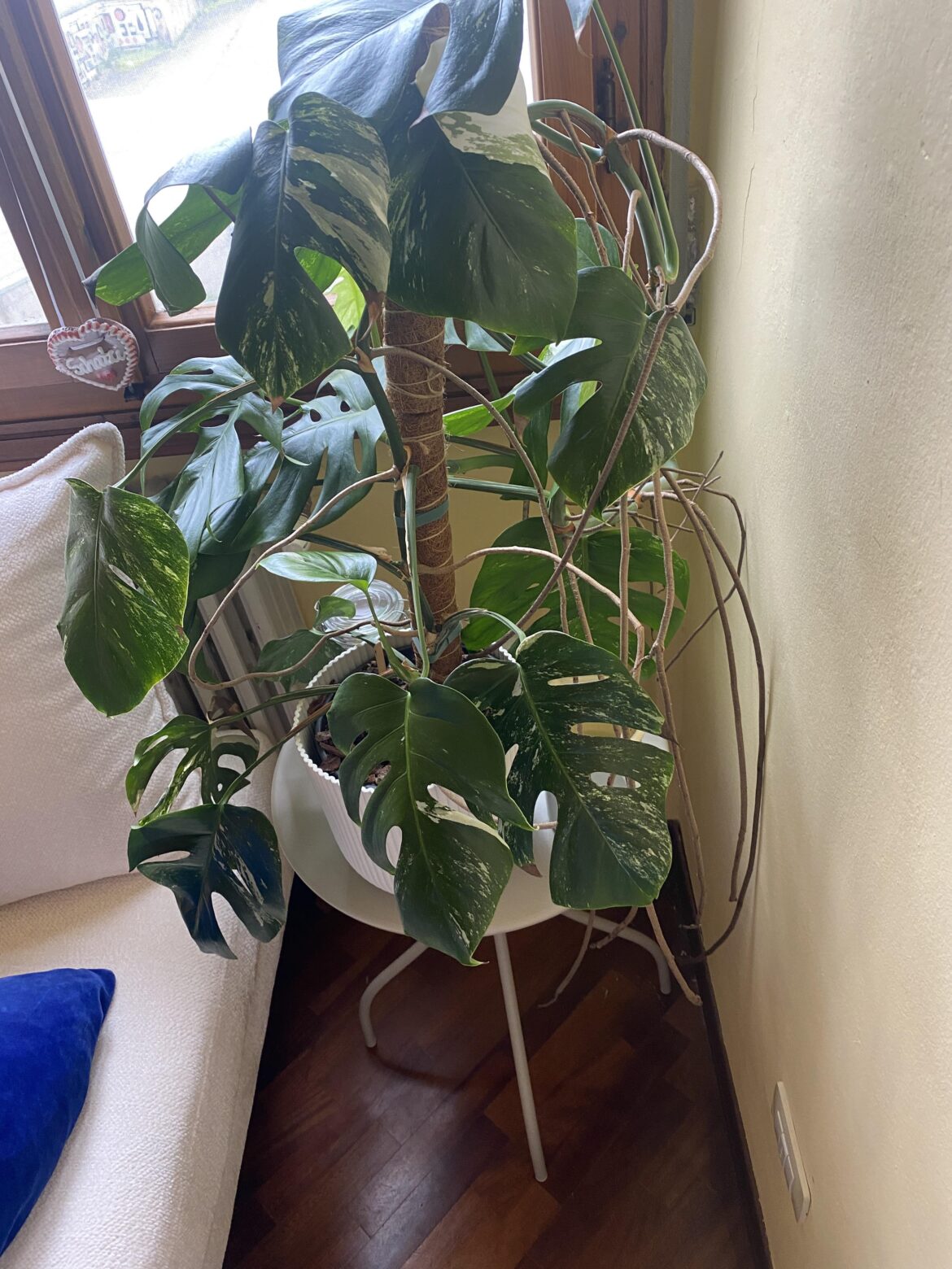 What am I doing wrong?