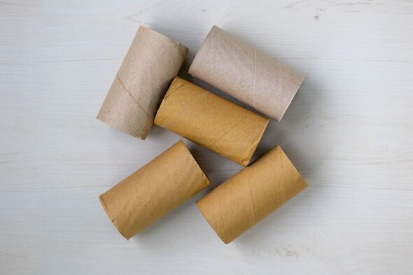 Empty toilet paper roll cores