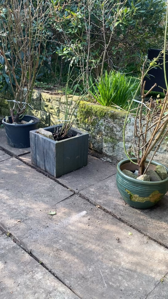 8ft high, stone wall collapsed - rebuilding ideas needed