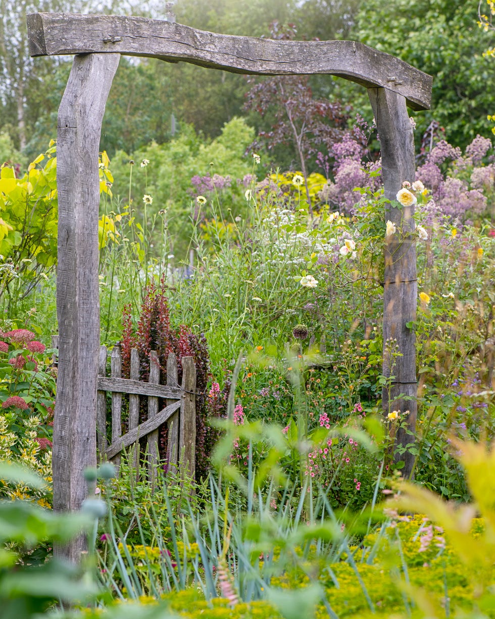 English cottage garden with rustic gate and wooden archway in soft sunshine english cottage garden with rustic gate and wooden archway in soft sunshine