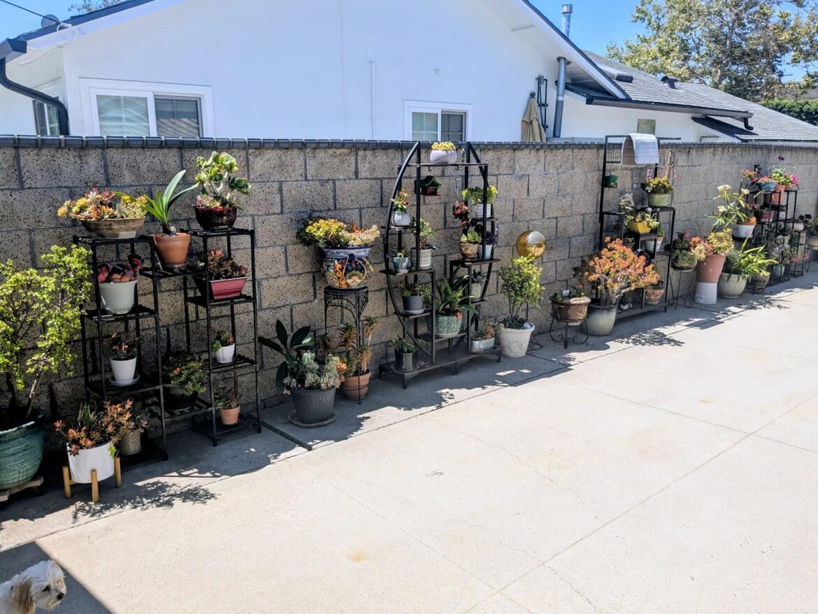 Needed more plant space. Have I gone too far?