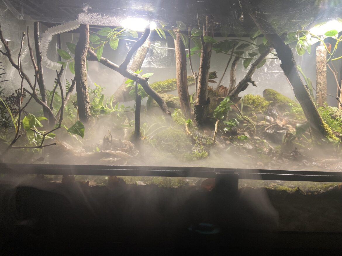 Will this set up work for a ball python?