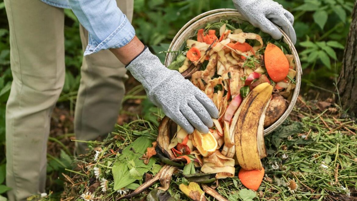 This Viral Gardening Video Shows the Easiest Way to Compost—No Bin Required This Viral Gardening Video Shows the Easiest Way to Compost—No Bin Required