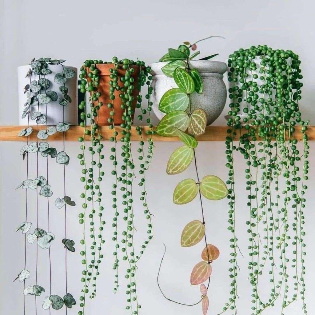 Trailing strings