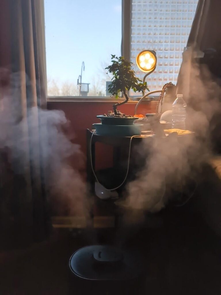 Accidental Renaissance