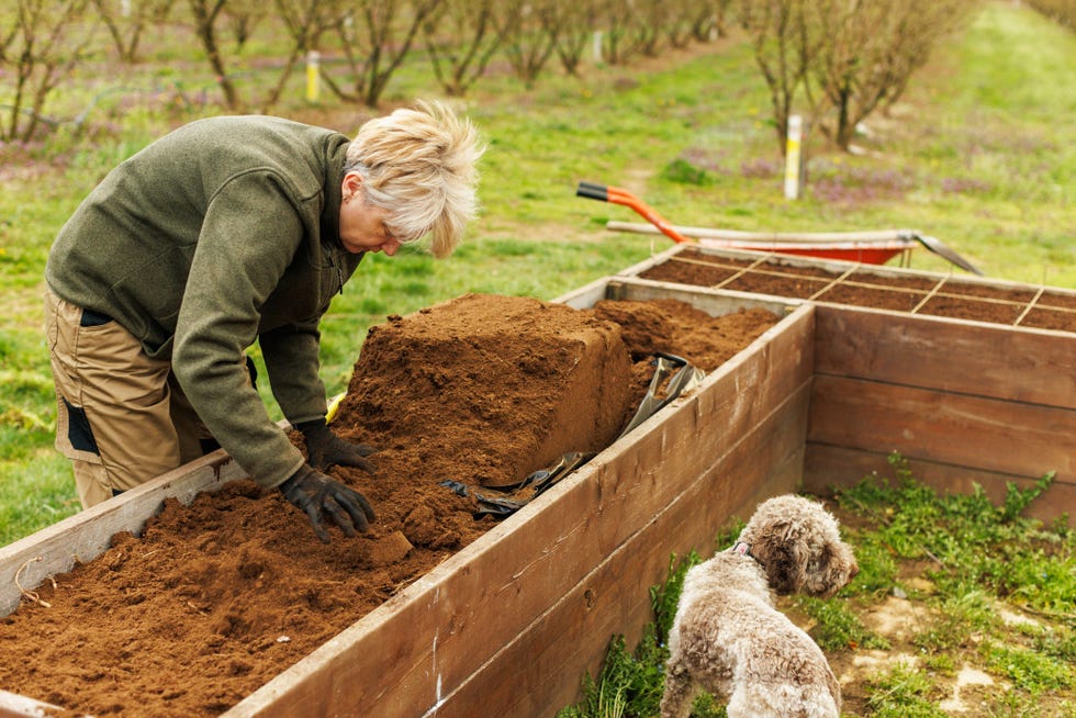 Middle-Aged Woman Preparing Soil in Raised Bed
