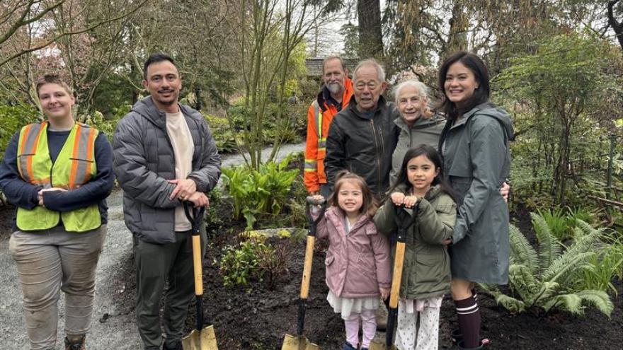Maple cuttings return to Gorge Park, reconnecting Japanese Garden to its roots Maple cuttings return to Gorge Park, reconnecting Japanese Garden to its roots
