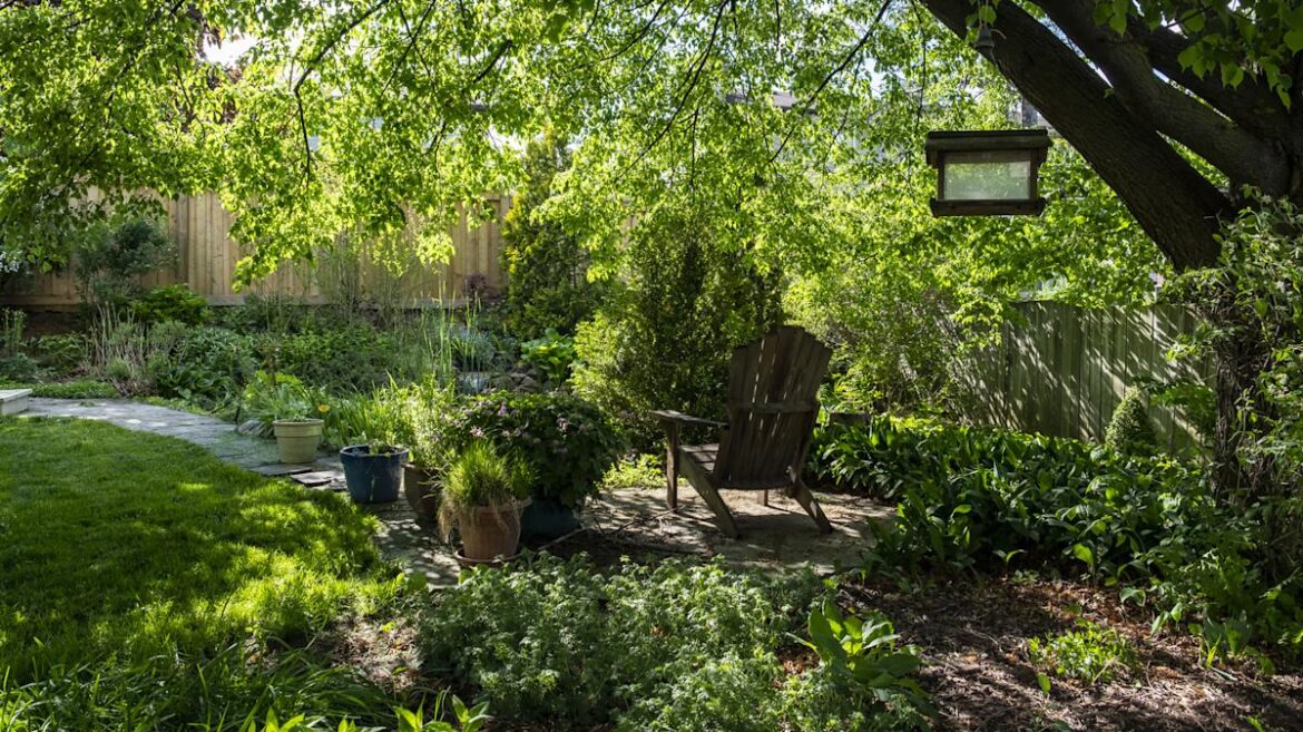 Brighten Up Your Shady Garden With The Help Of This Plant’s Colorful Foliage Brighten Up Your Shady Garden With The Help Of This Plant's Colorful Foliage