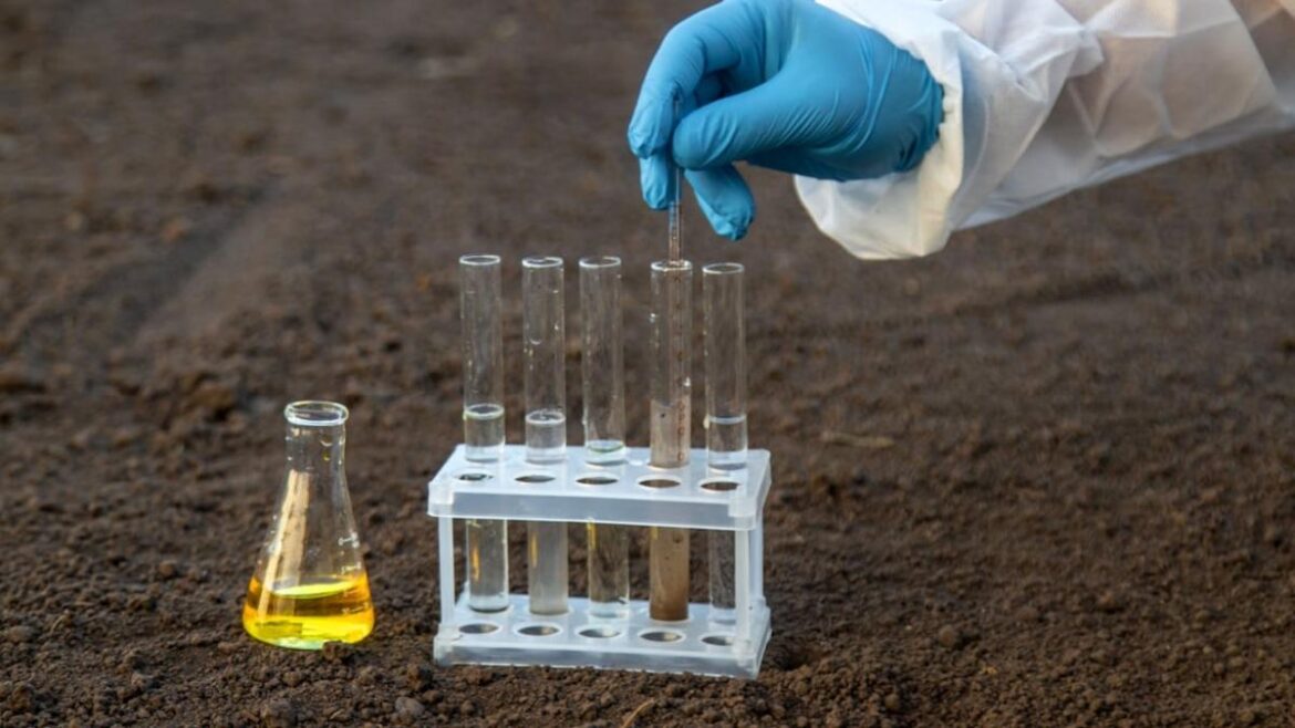 Is Your Garden Soil the Problem? Here’s How to Test and Fix It Is Your Garden Soil the Problem? Here’s How to Test and Fix It