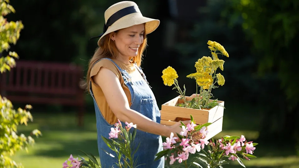 Pretty woman carries wooden box of yellow flowers while enjoying gardening in lush green park filled with colorful blooms on a sunny day