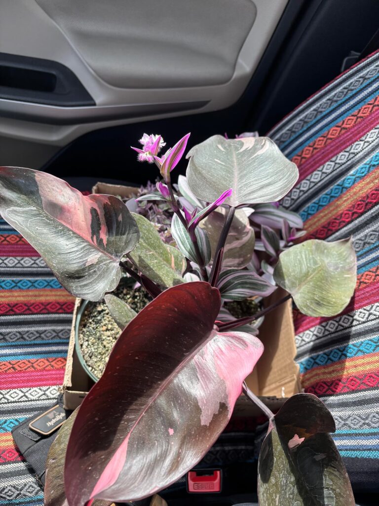 there was a sale —