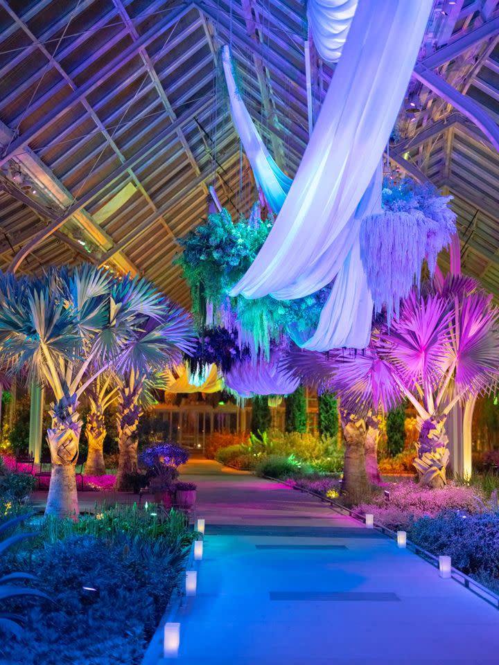 Credit: Daniel Traub