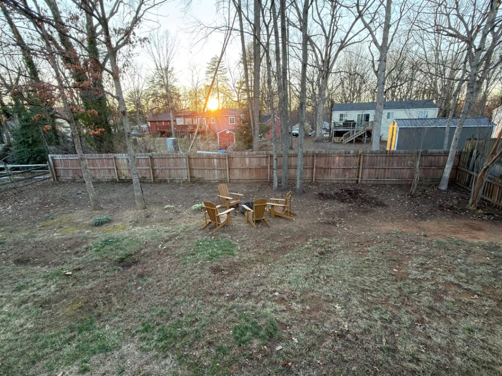 How do I grow grass in my backyard?