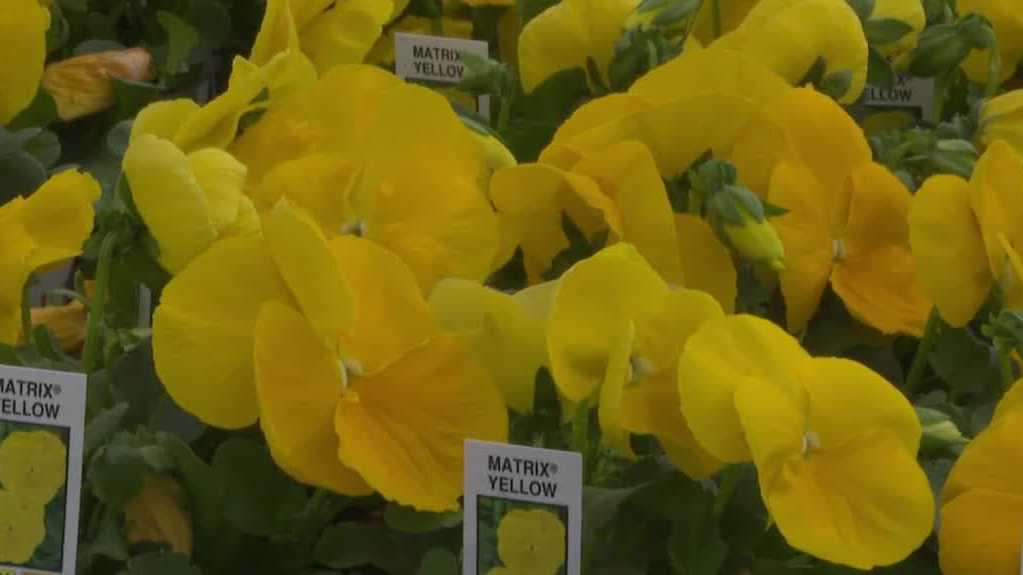 Omaha expert give tips on spring gardening Omaha expert give tips on spring gardening