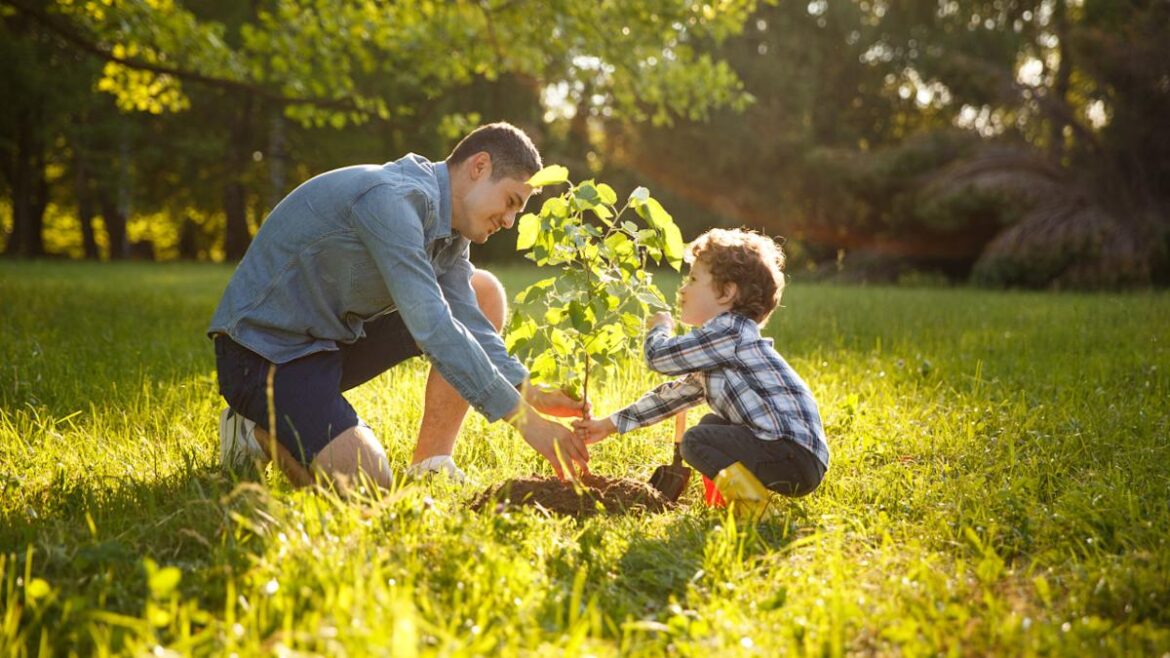 The Biggest Mistake to Avoid When Transplanting a Tree, According to Experts