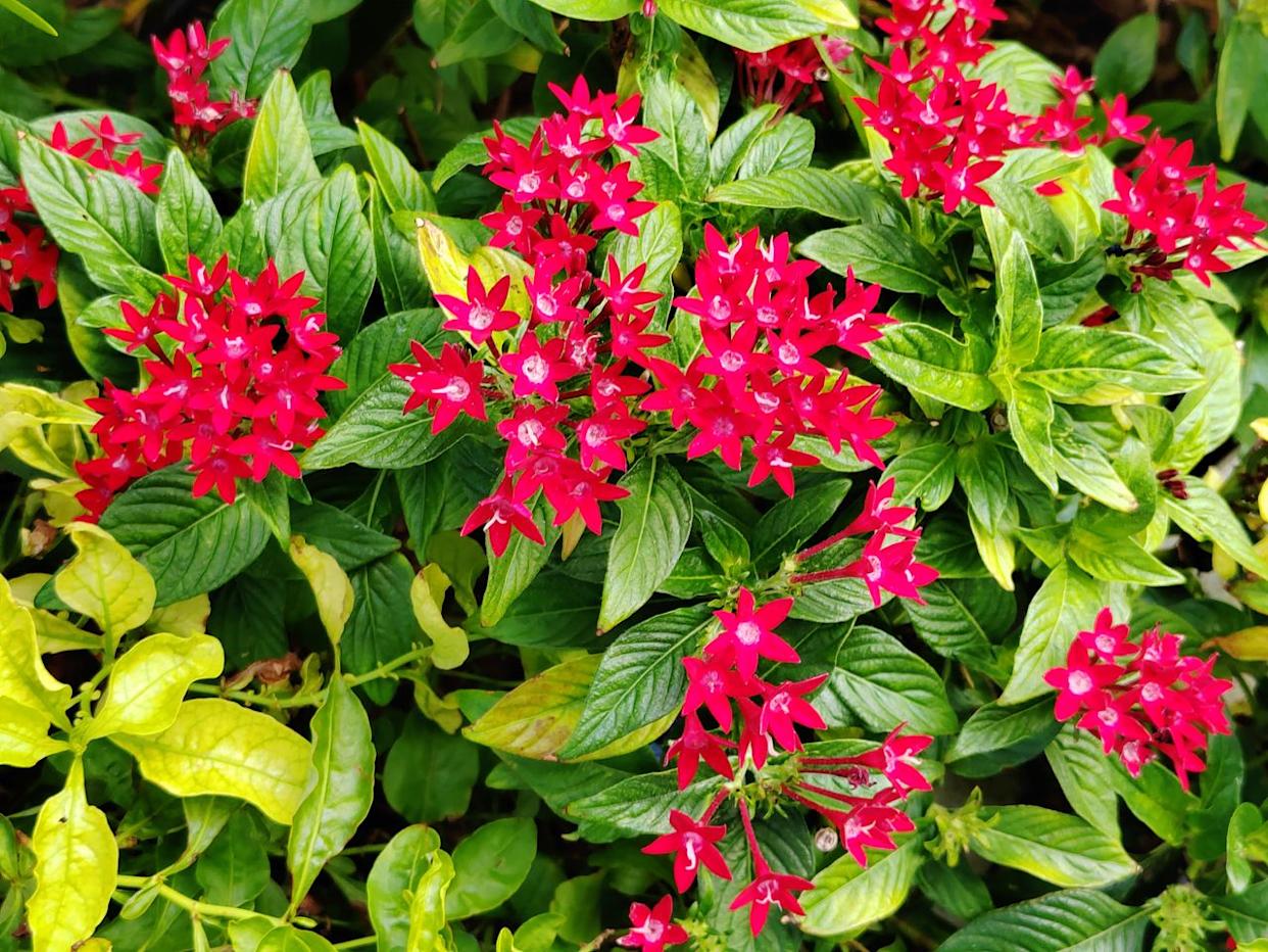 Credit: Getty Images