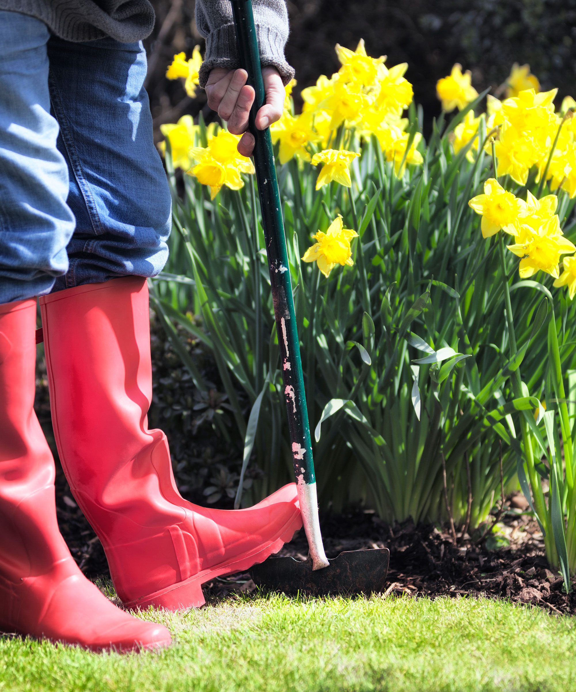 person edging a lawn with a manual edging tool
