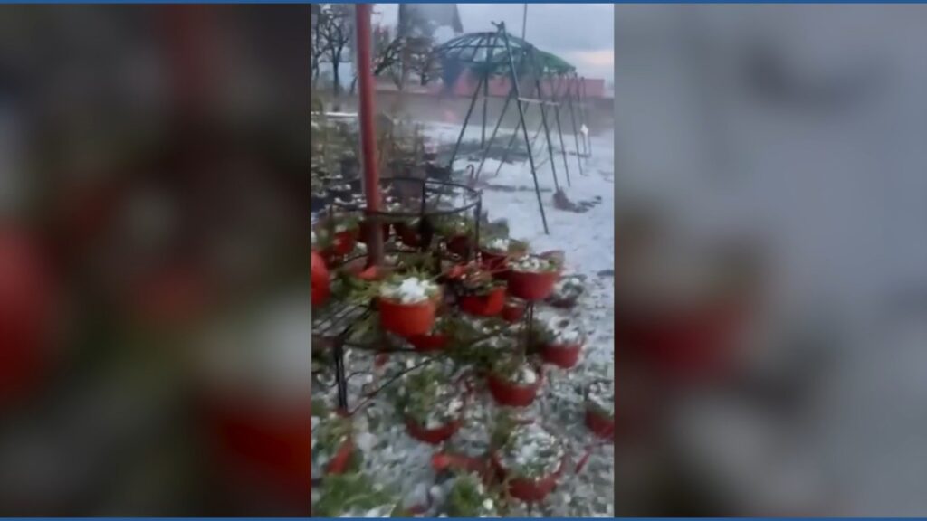 'Torn to pieces': Hail destroys Leakey garden nursery during Tuesday's strong storms