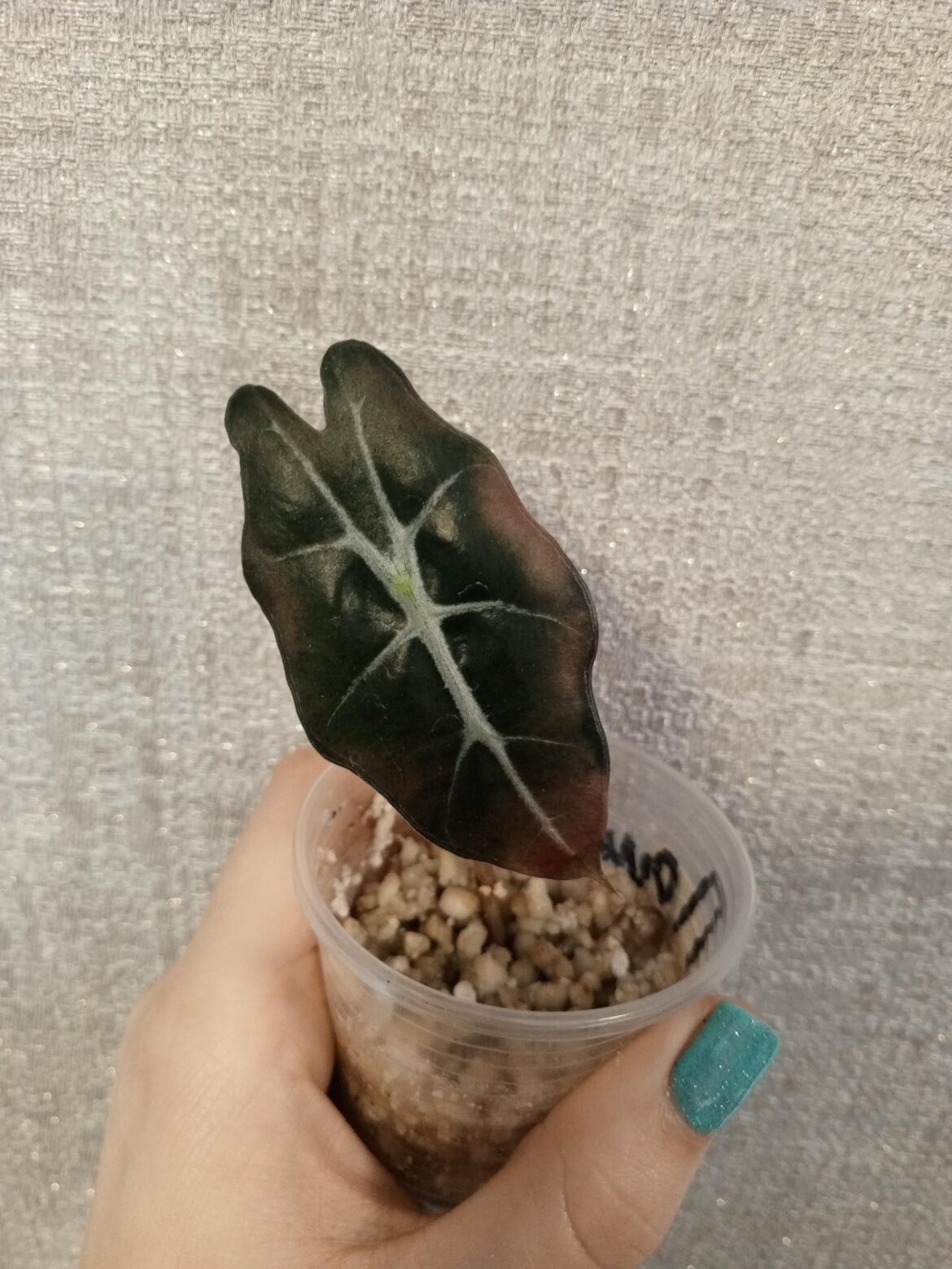 Помогите пожалуйста