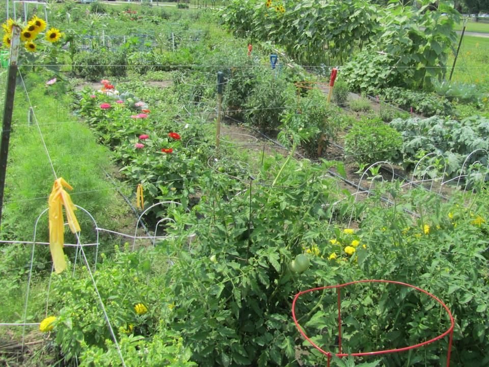 Grow your favorite crops in your community garden plot.