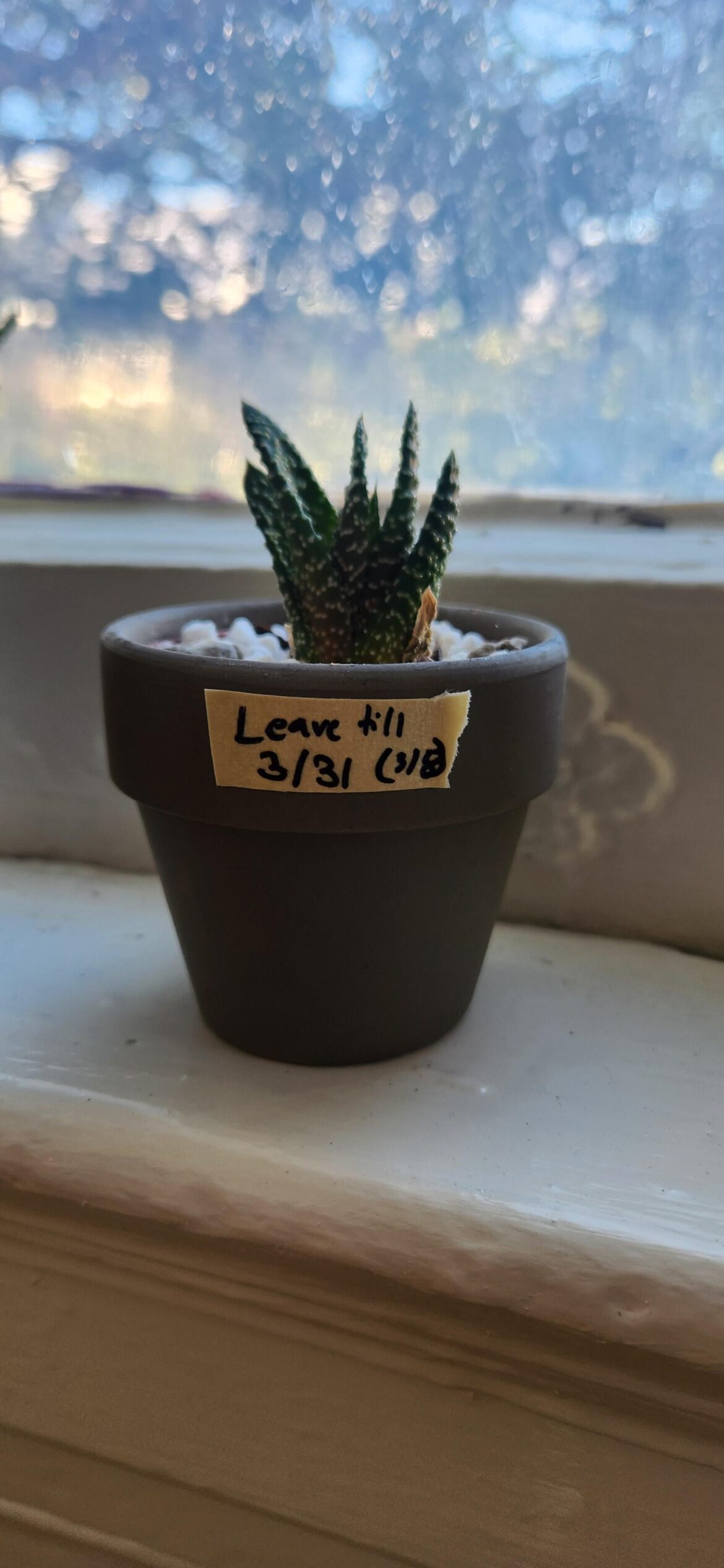 I have to write notes to control my impatience 🤣