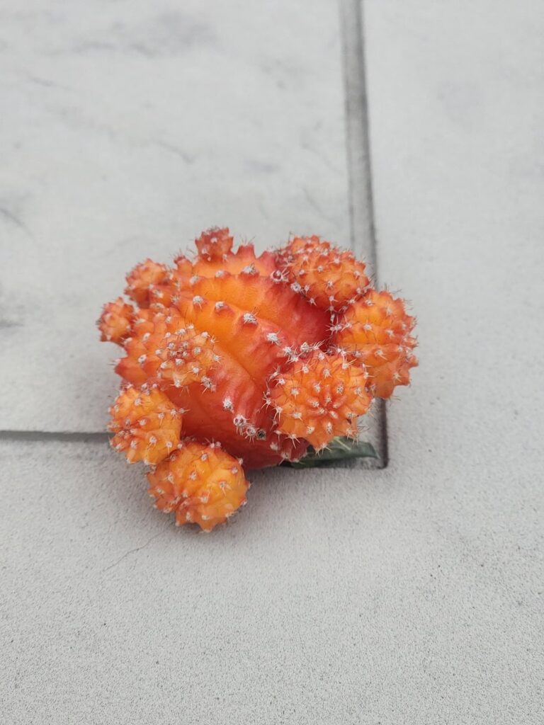 Can I propagate this?