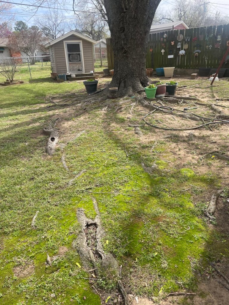 Question about roots Question about roots