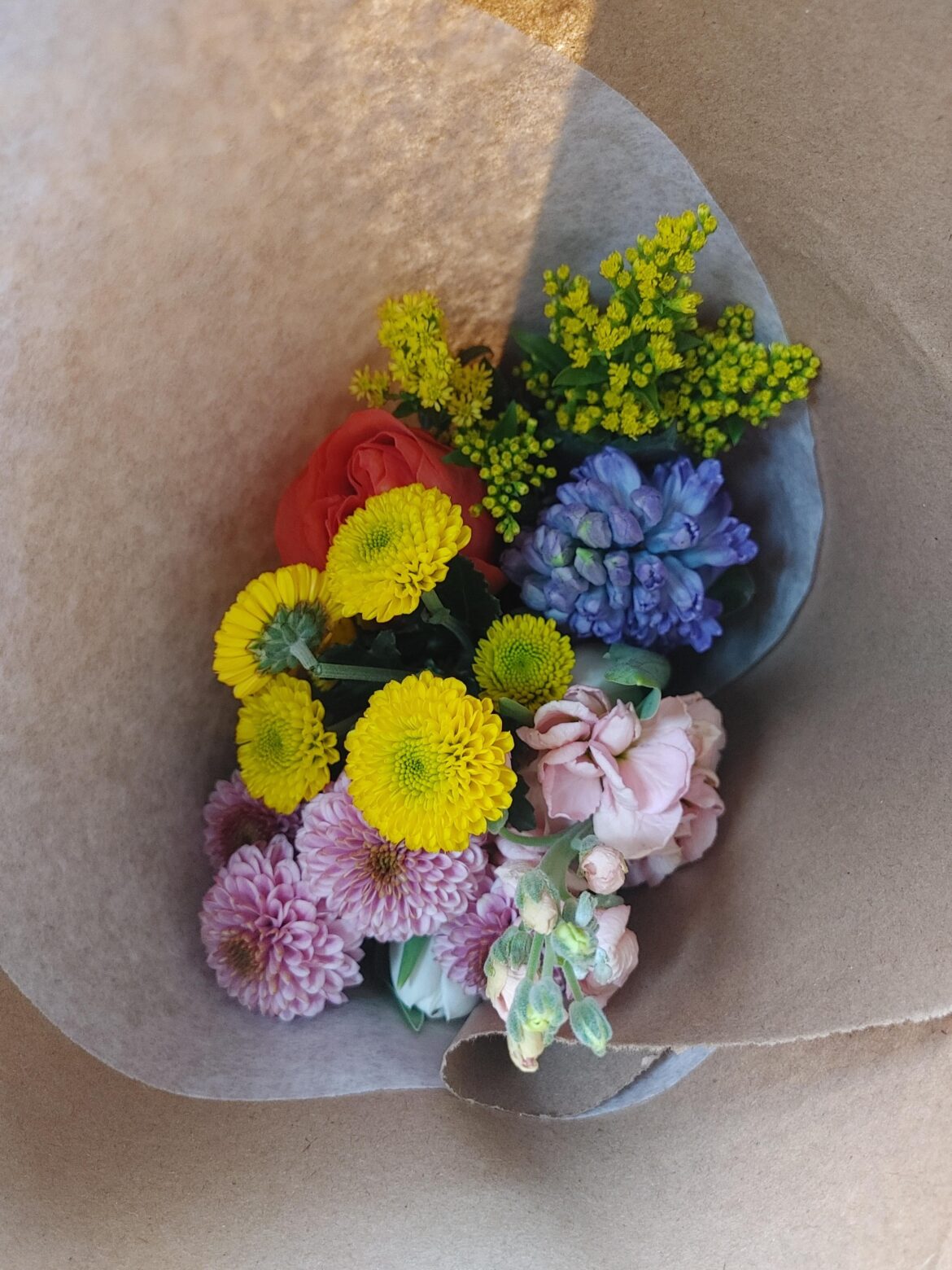 What are these? What are these?