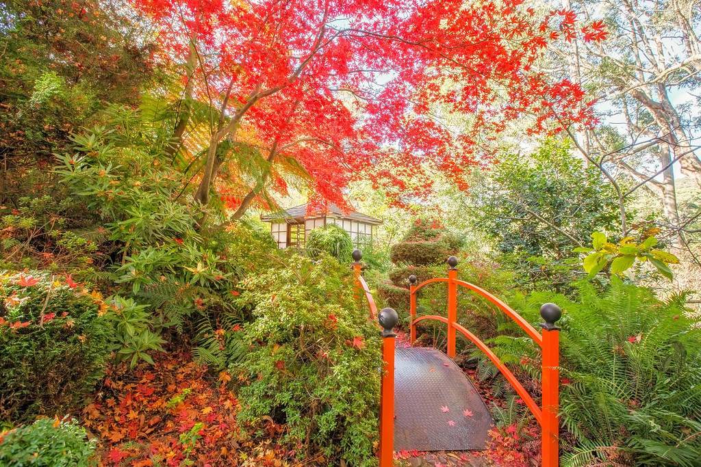 a Japanese bridge and a gazebo in the background amongst autumn trees at Forest Glade Gardens