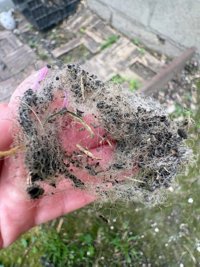 Steel Wool Type of Substance in Compost Tumbler
