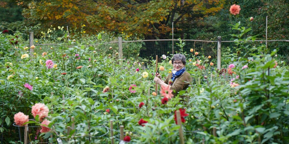 How to Arrange a Floral Centerpiece, According to Frances Palmer How to Arrange a Floral Centerpiece, According to Frances Palmer