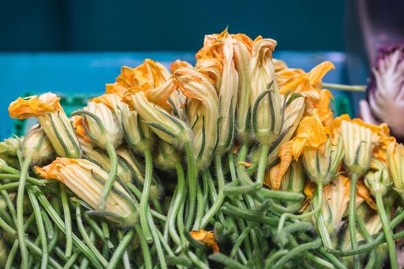 Fresh zucchini flowers displayed at a market stall Fresh zucchini flowers displayed at a market stall