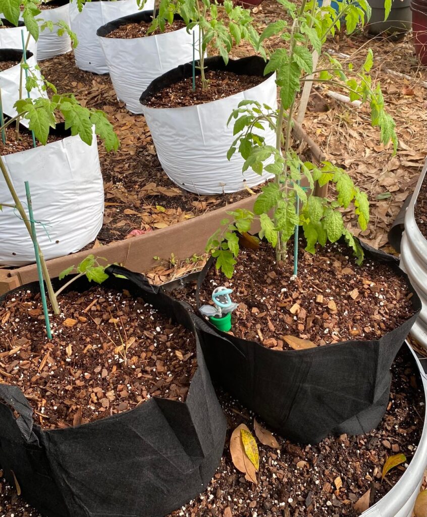 Has anyone else noticed something strange since the lunar eclipse?