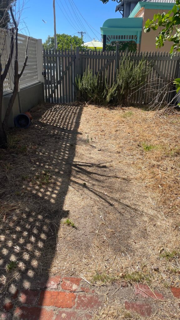 RIP my back yard