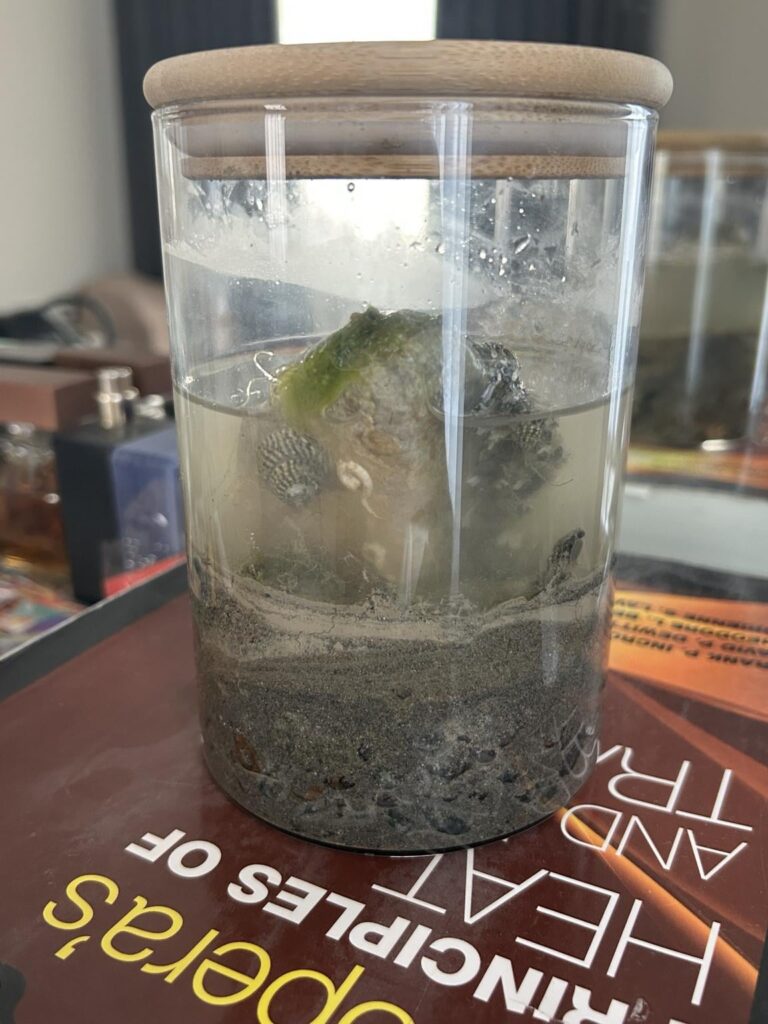 First time - Day 1,