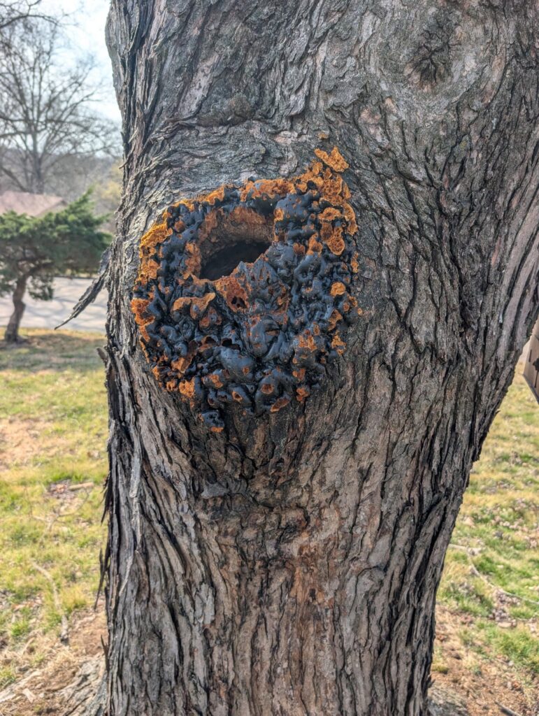 What is this? Do I need to do anything?