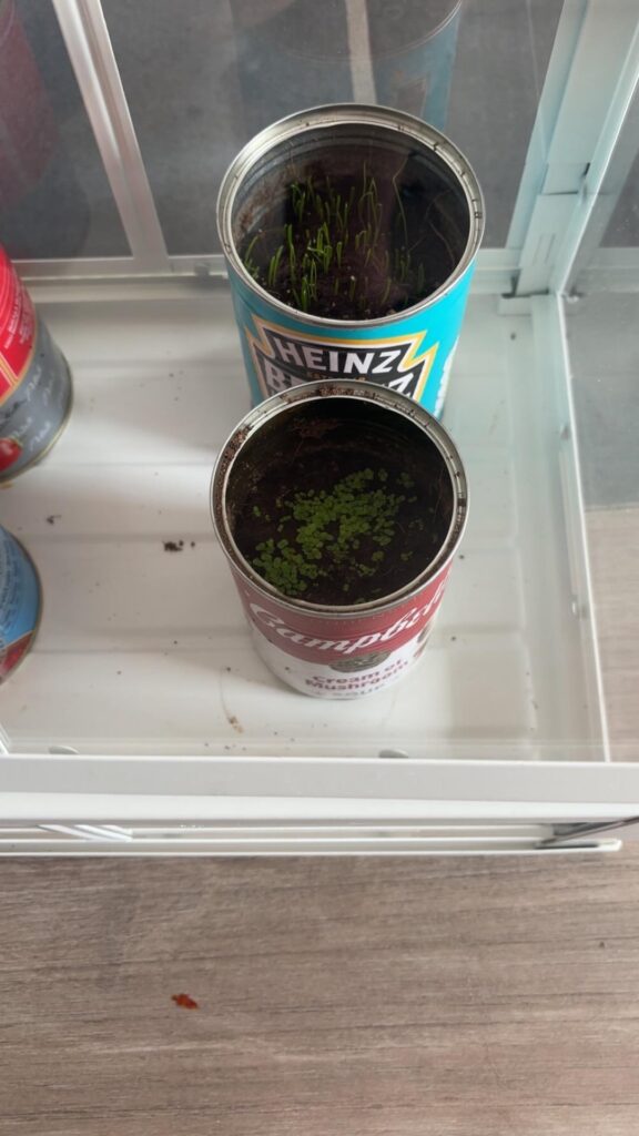Windowsill Greenhouse