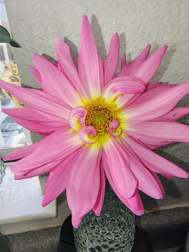 Who is she? + a question