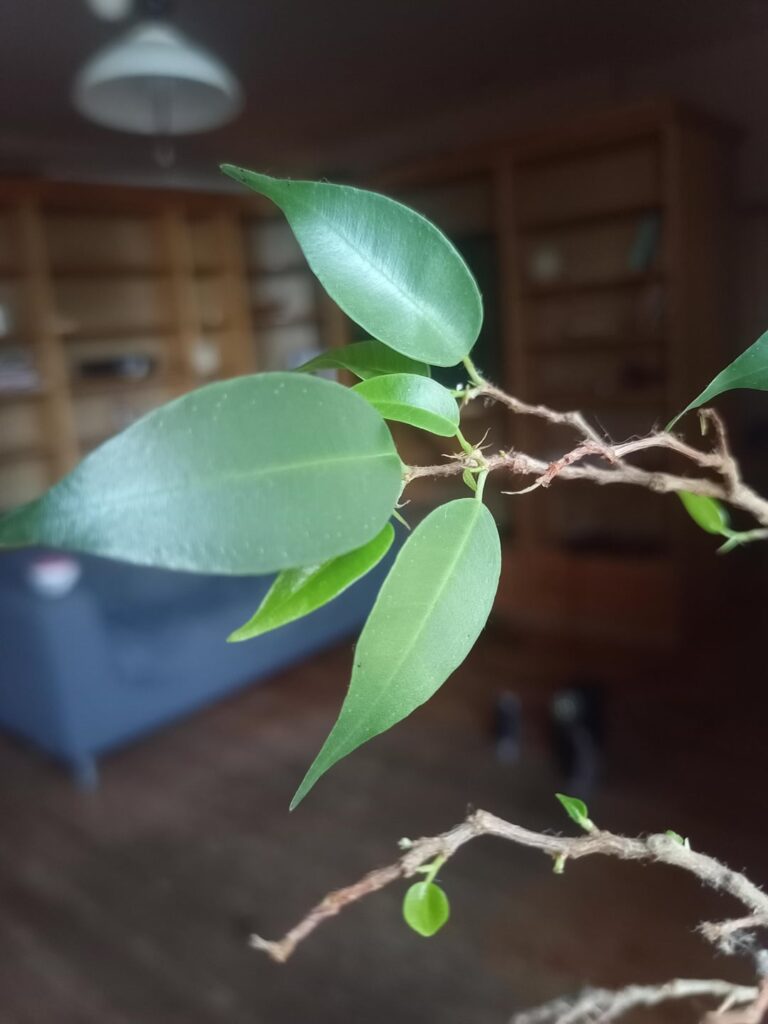 Found this in my new apartment