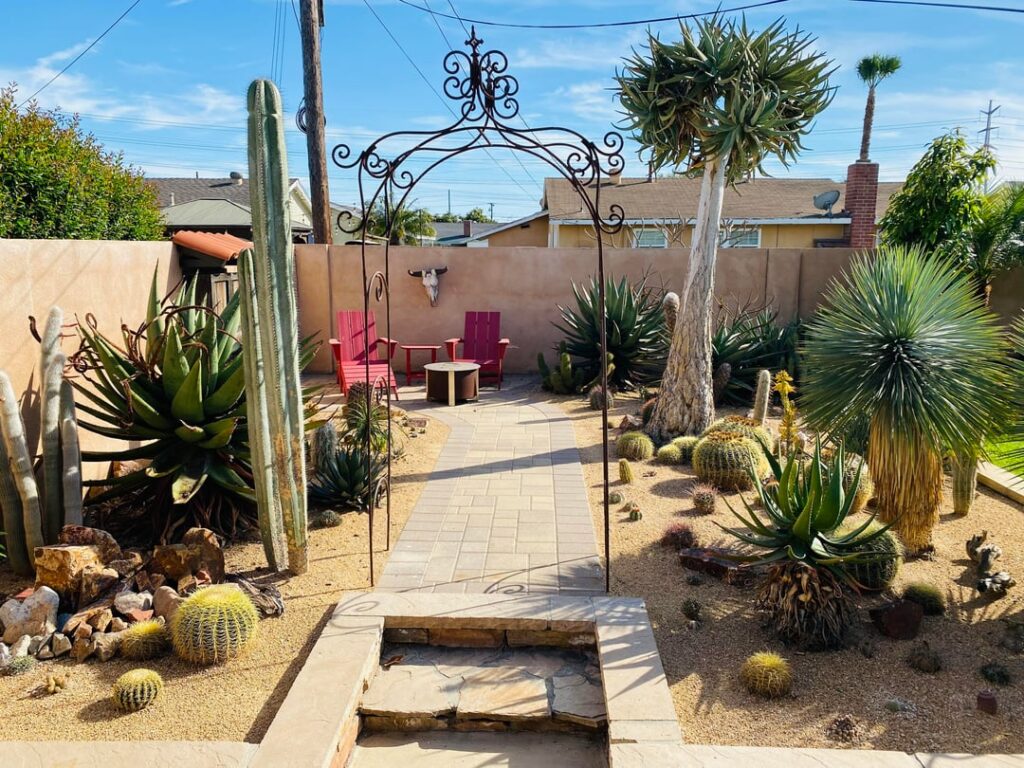Updated pictures: My cactus patch spring 2026