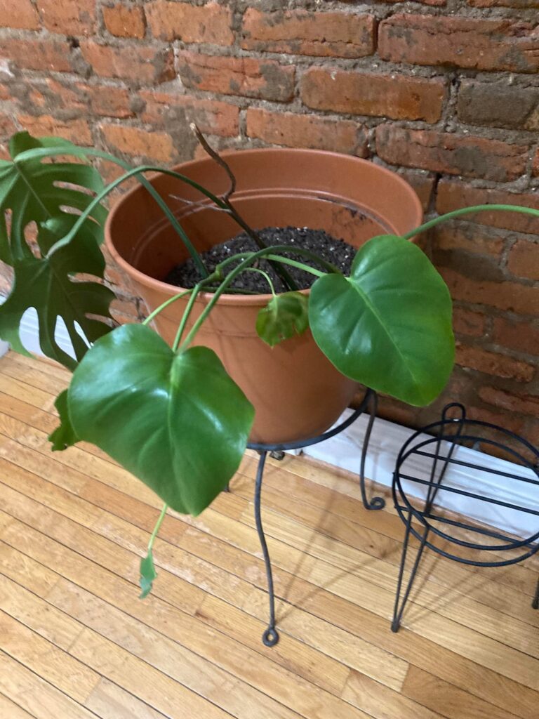 What am I doing wrong?