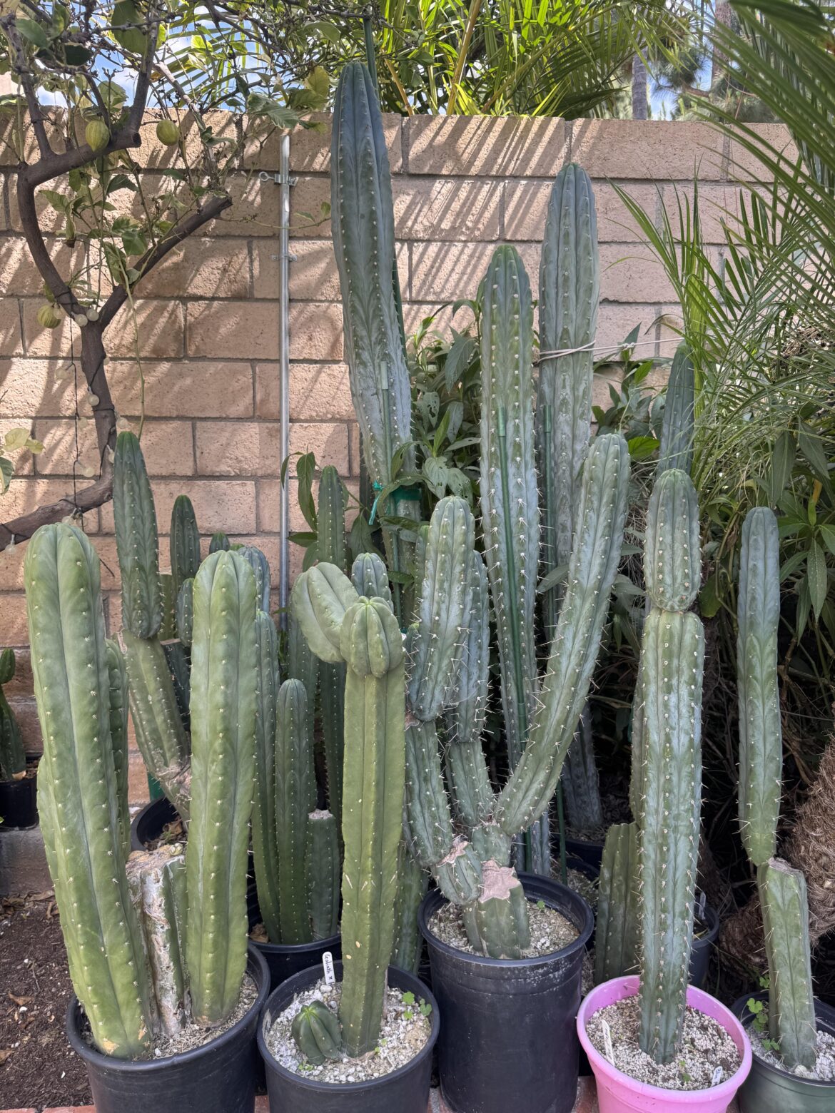How would you keep these intact in the bed of a truck while moving?