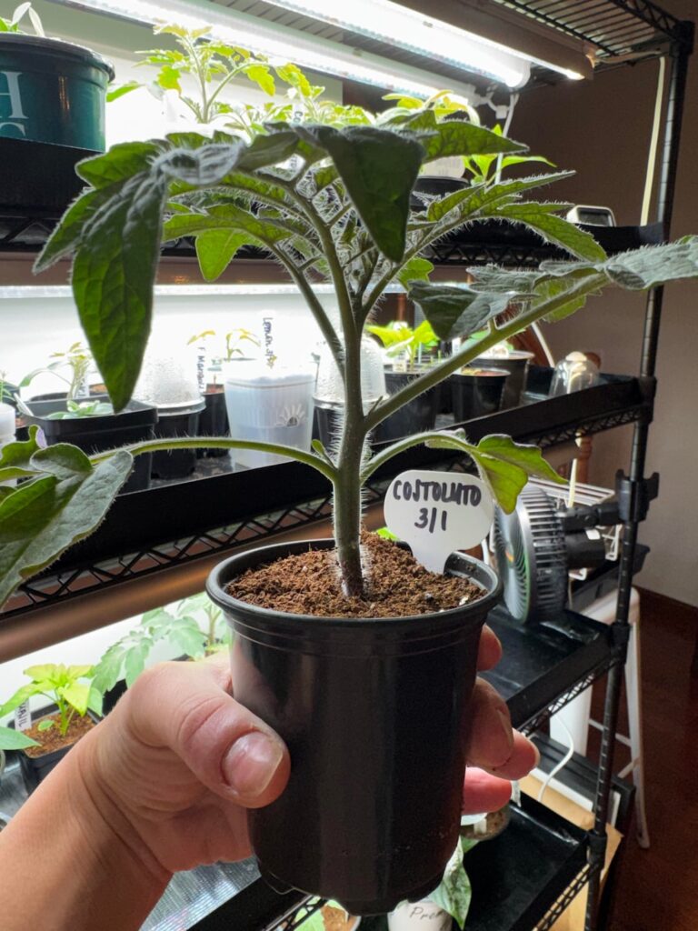 30 days. How we looking?