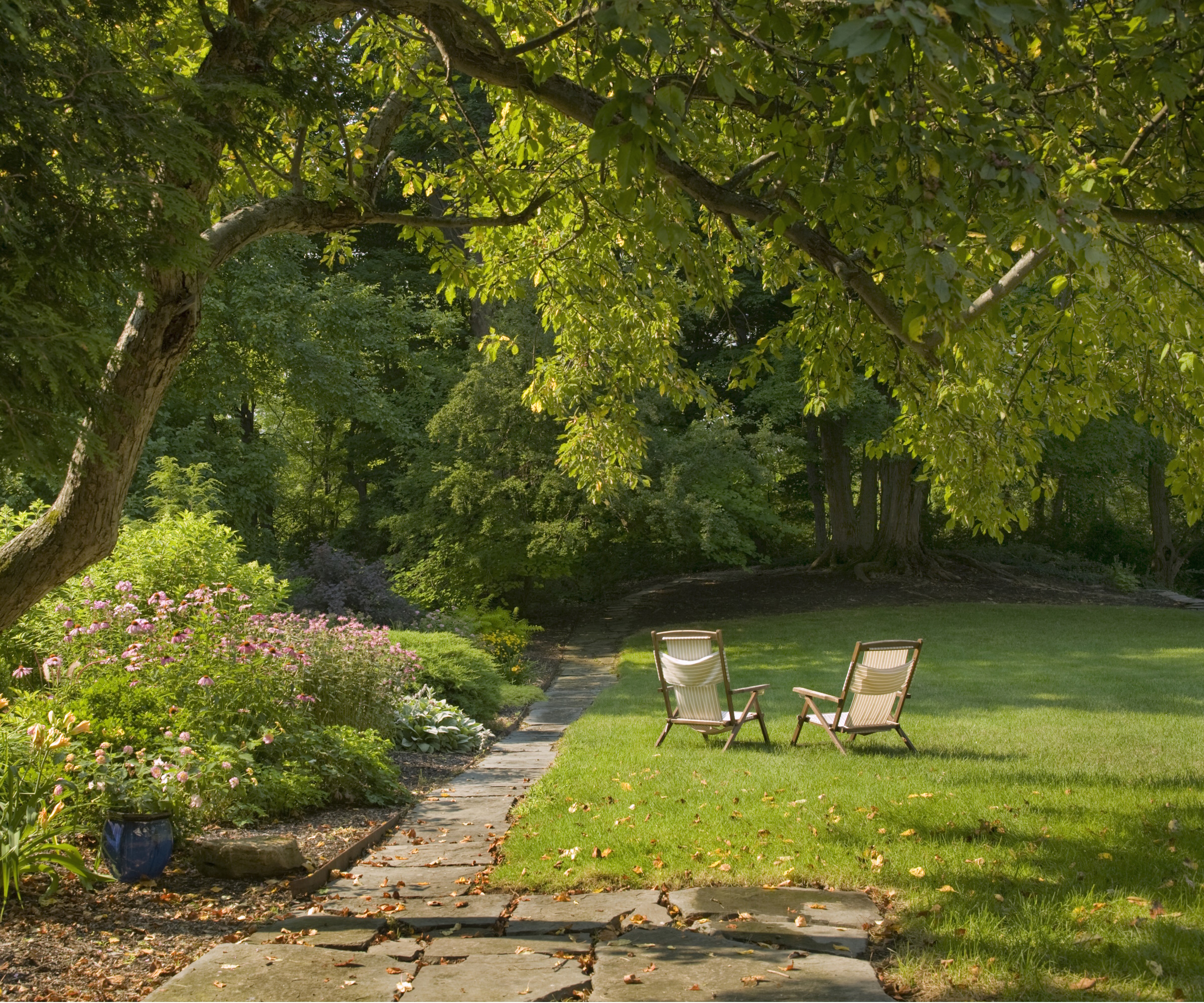 Get grass to grow under lawn